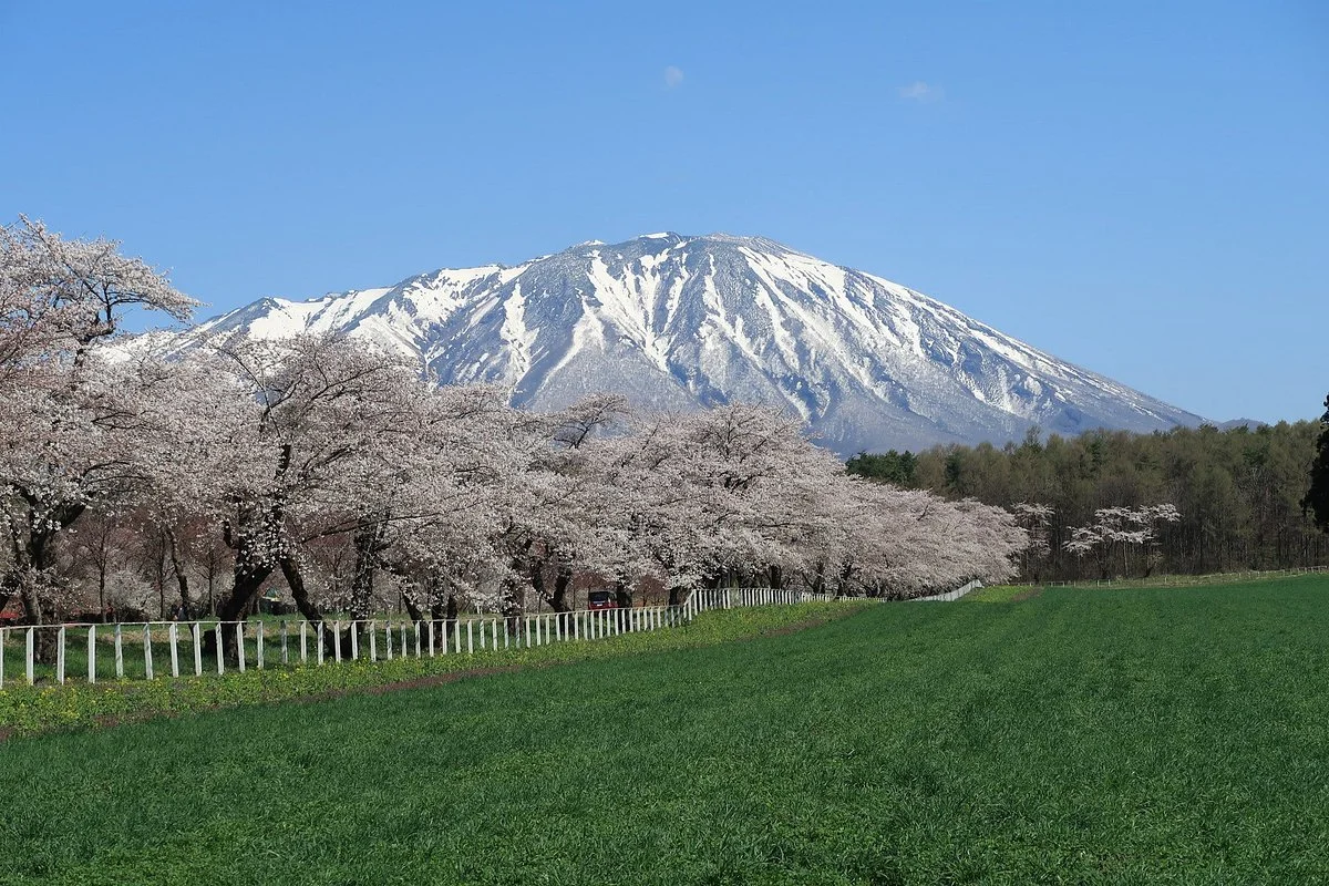Koiwai Farm