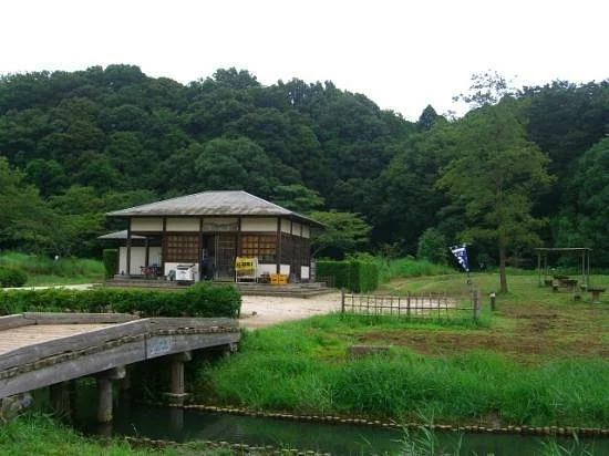 Forest and Park for the 21st Century