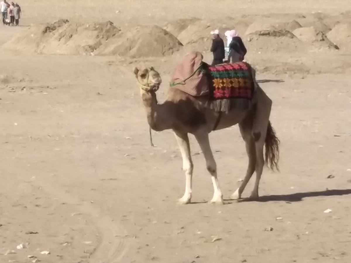 Plage Lalla Aicha Bahria
