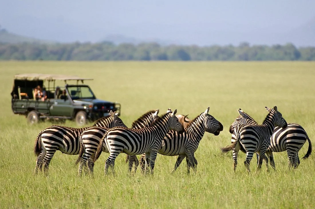 Vacations Of Africa