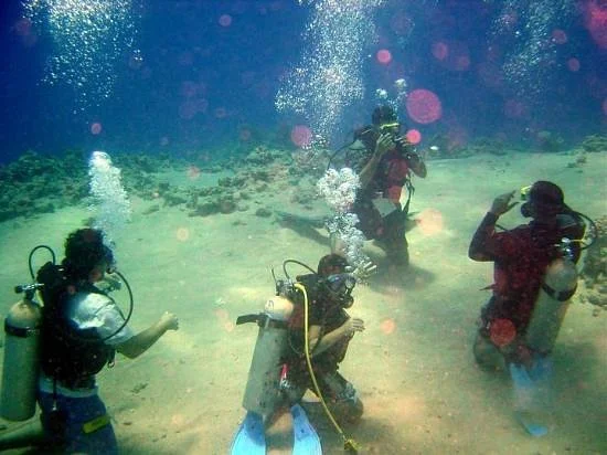 Arebi Dive Center