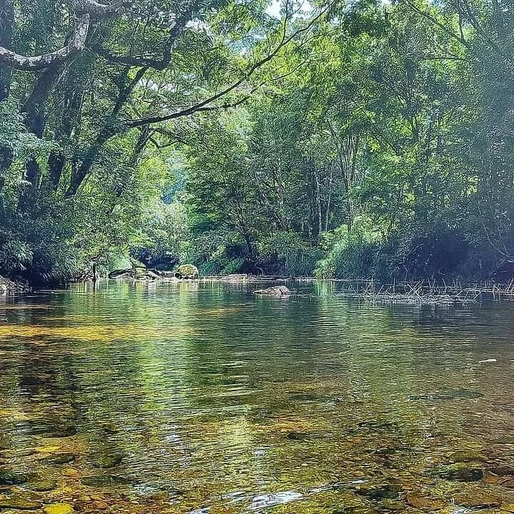 Site Écotouristique De Tsitongambarika