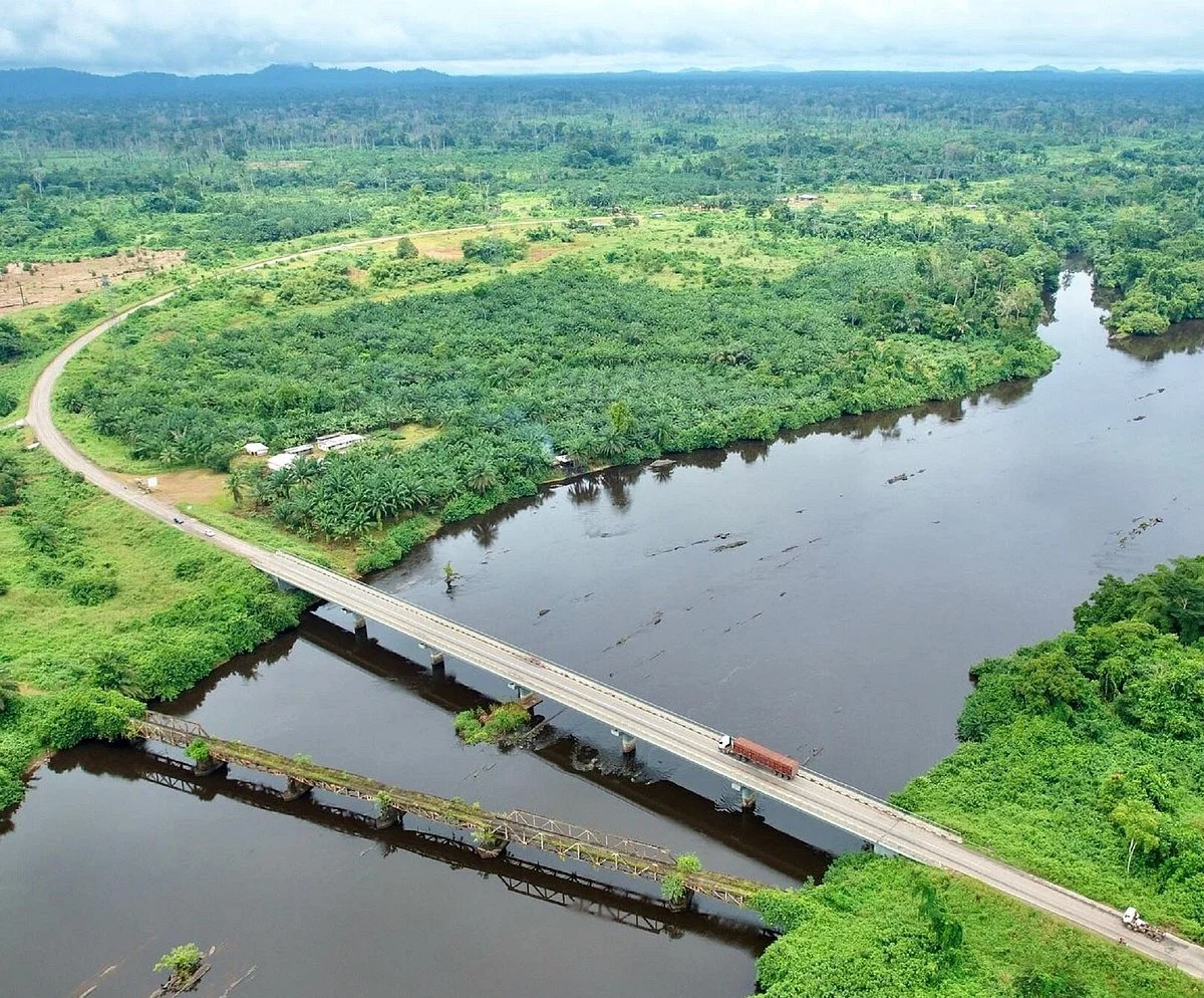 Ponts Sur Le Nyong