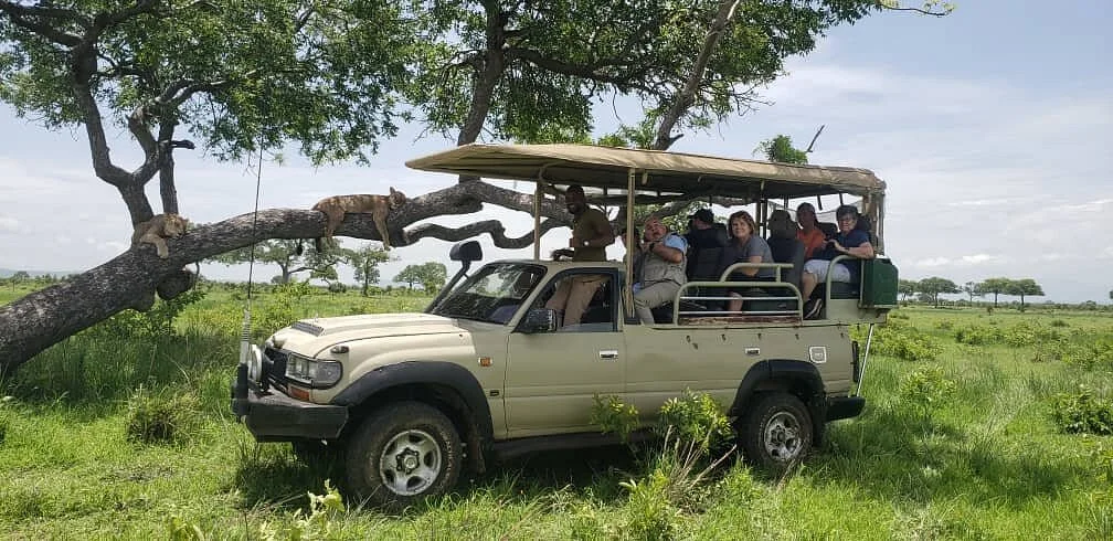 Obag Africa Safaris