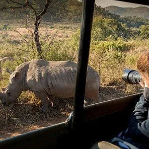 ODP Safaris - Day Tours