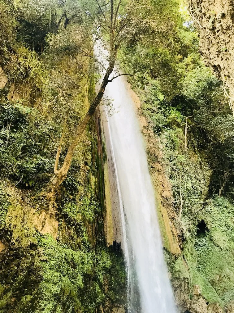 Tiger Falls