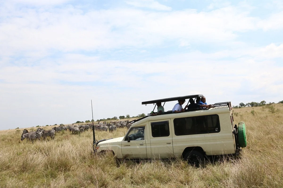 Morningstar Safaris