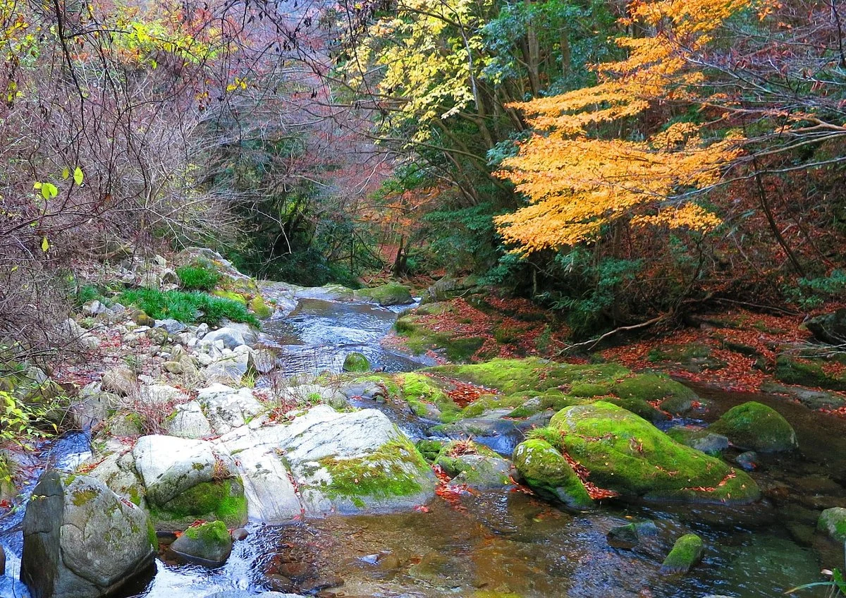 Hananuki Valley
