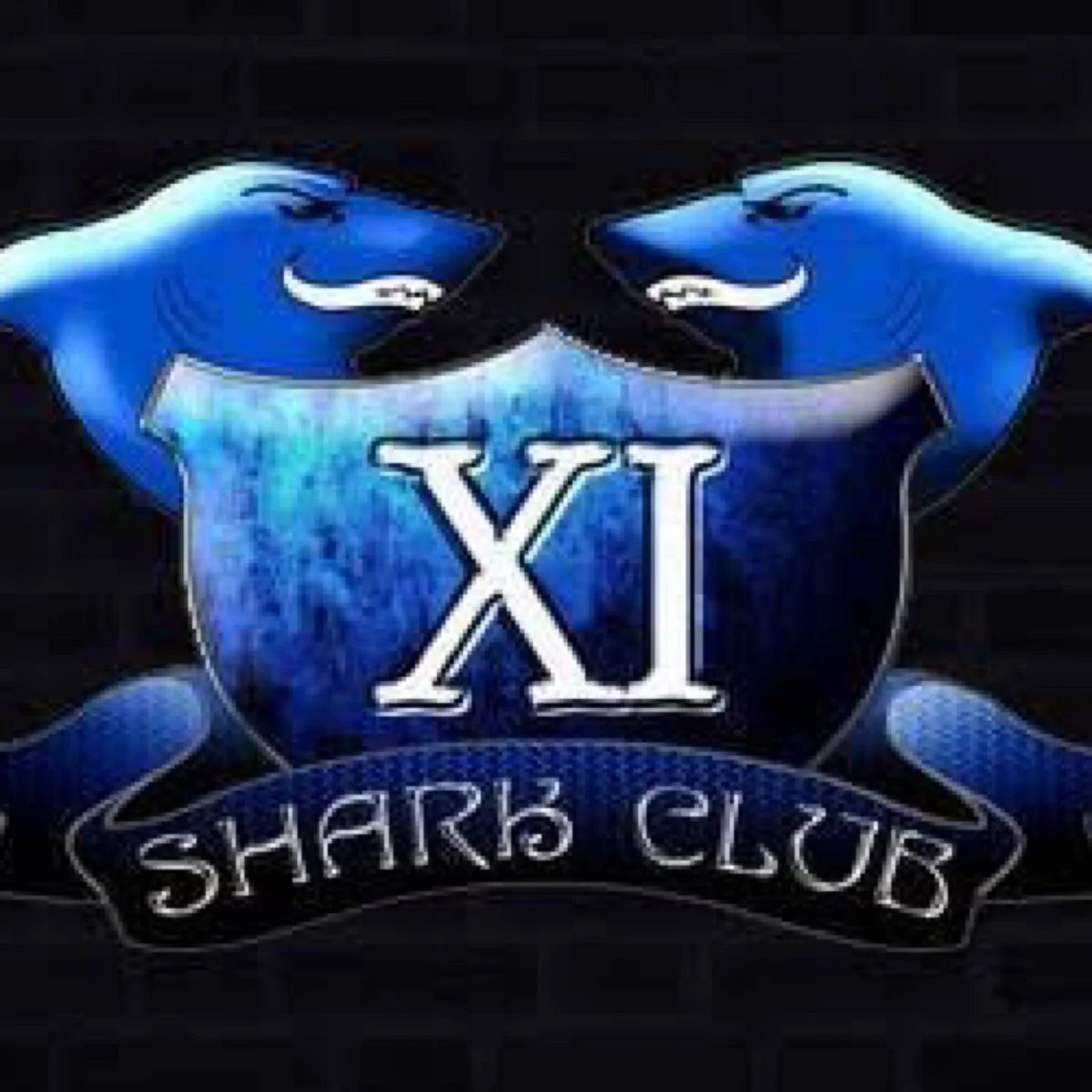 Shark Club XI