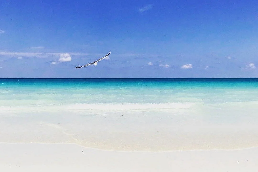 Zanzibar Islands