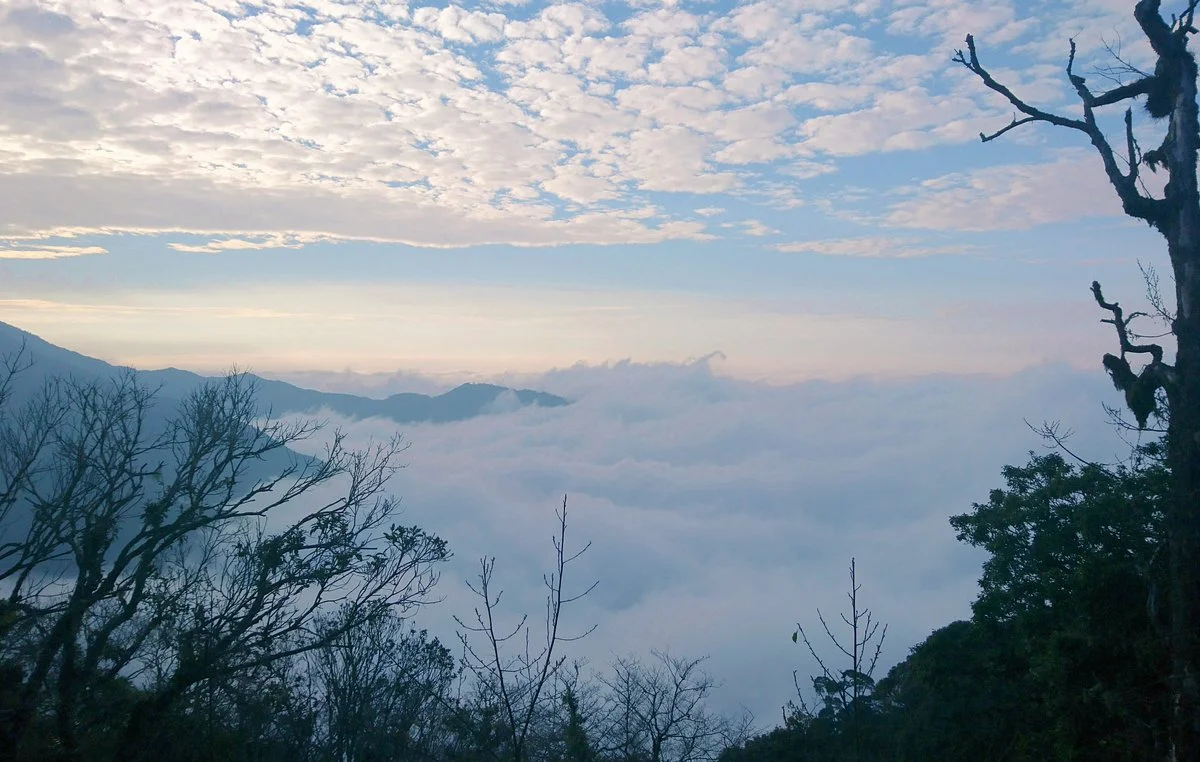 Guanwu National Forest Recreation Area