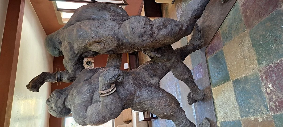 Sculpture of The Wrestlers