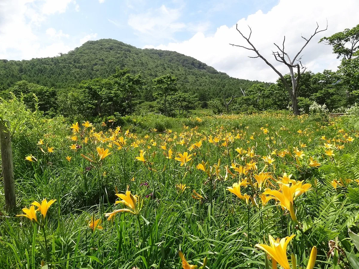 Numappara Marshland