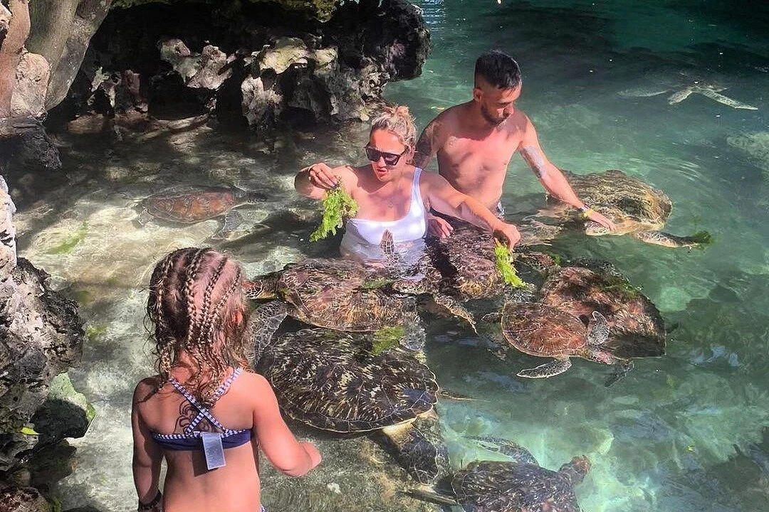 Swimming with turtles sanctuary Zanzibar