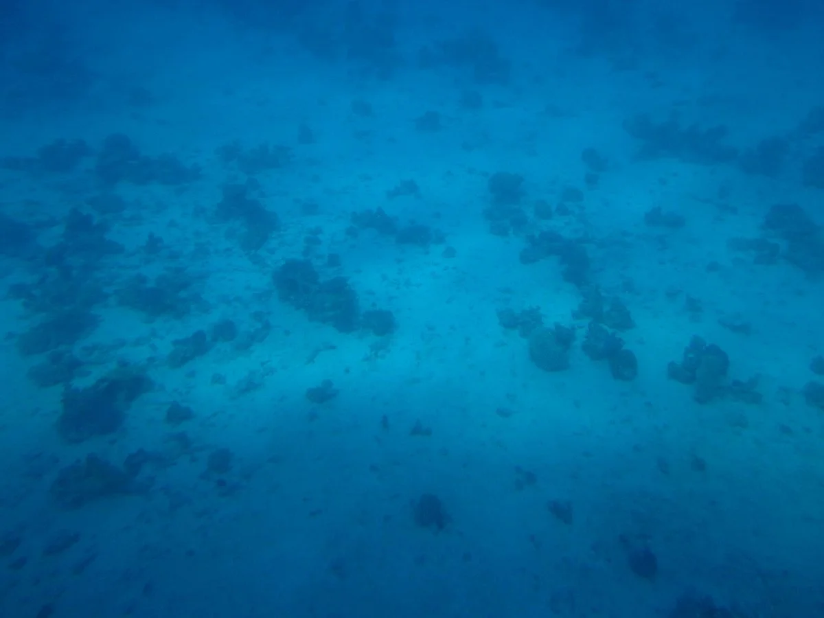 Submarine Seascope