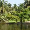 Life Star Abidjan