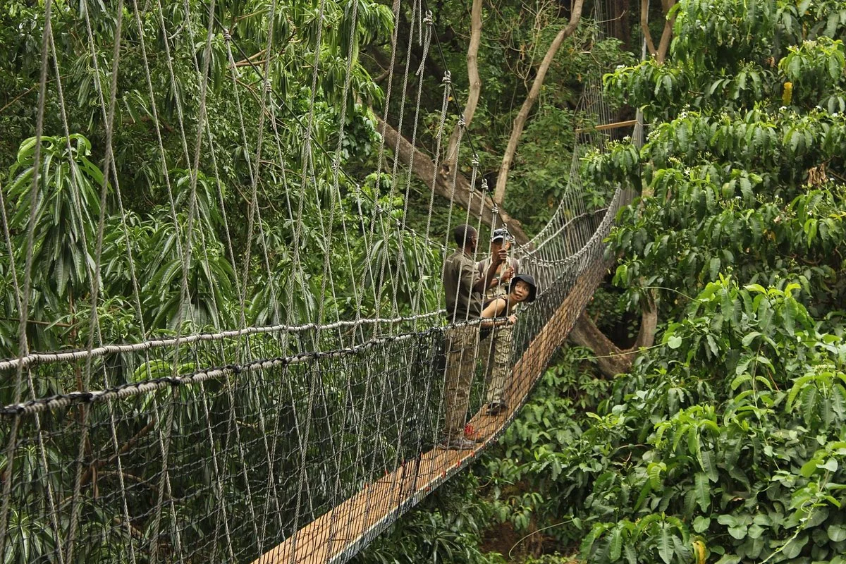 Lake Manyara Treetop Walkway