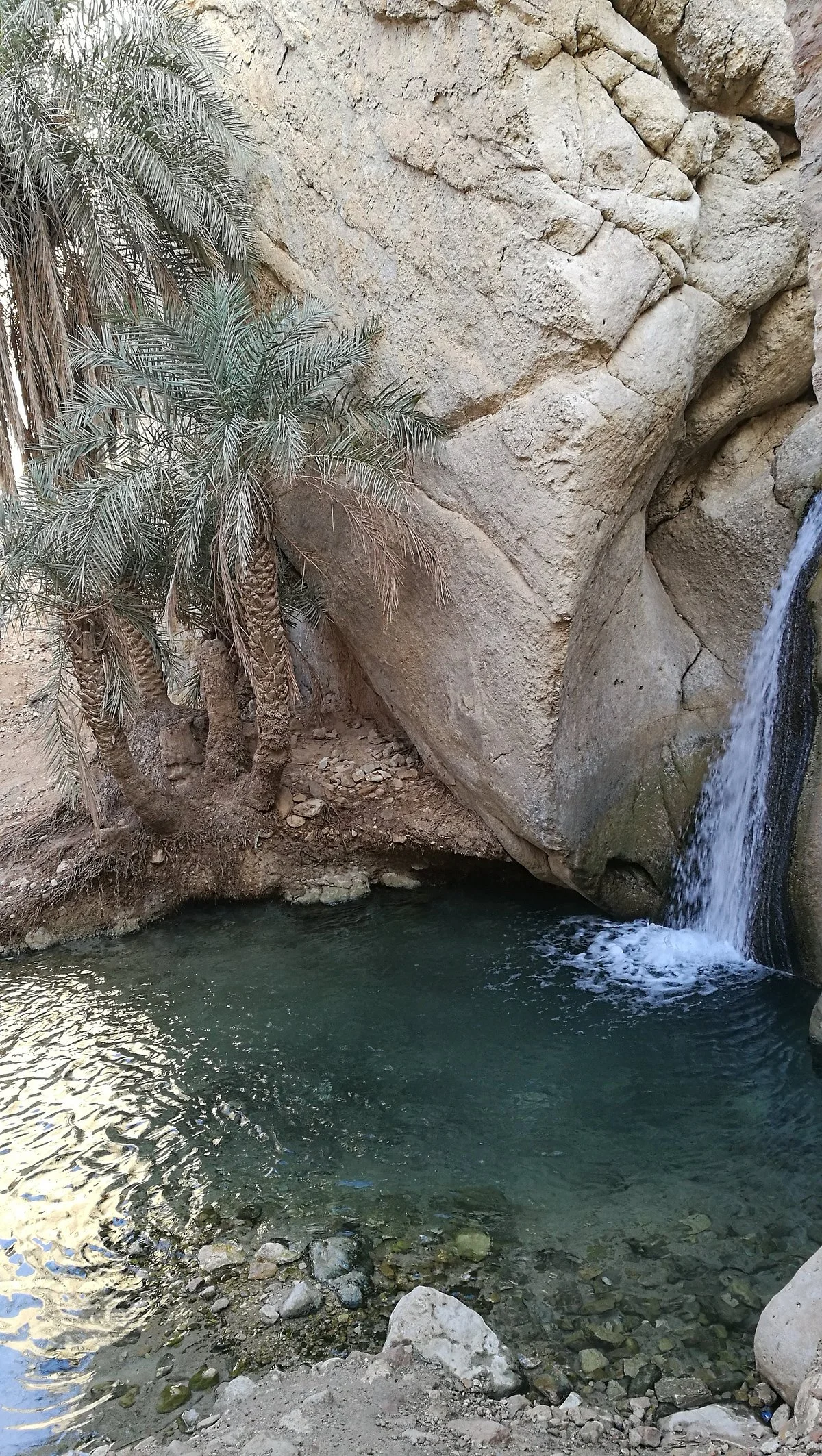 Golf Oasis Tozeur