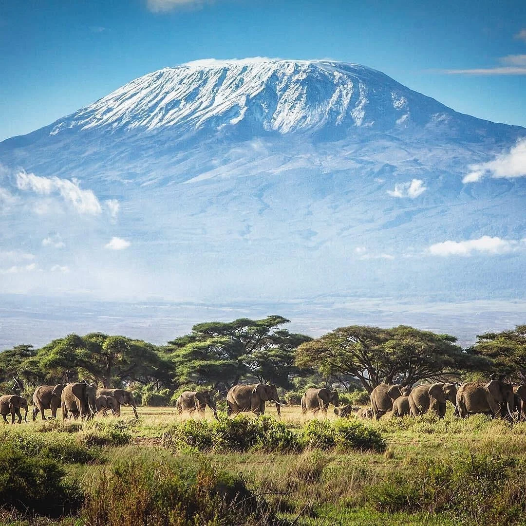 Kibosho Tours