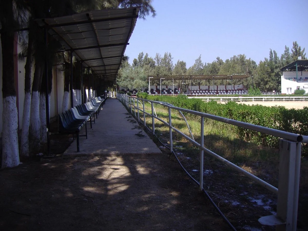 Club Hippique De La Mitidja Blida