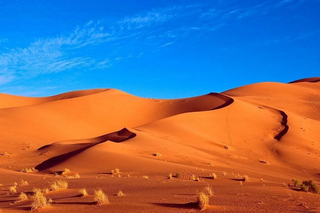 Numidian Morocco Tours