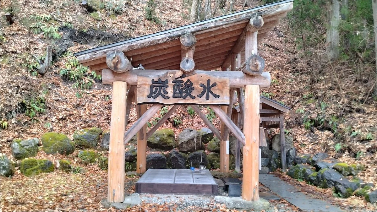 Oshio Natural Carbonated Water