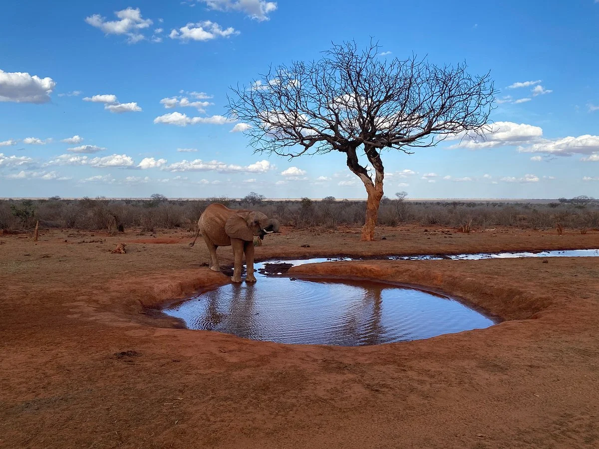Safari Mapeka