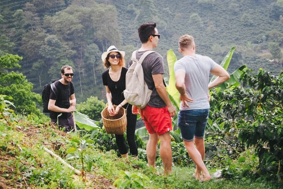 Visit to coffee plantation/lunch