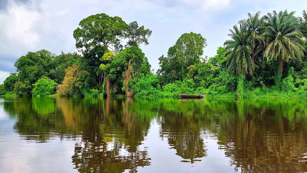 Village Pygmées De Dibongo À Kribi
