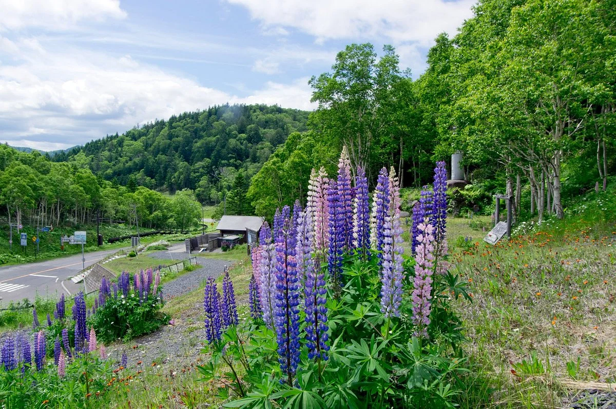 Sekihoku Pass