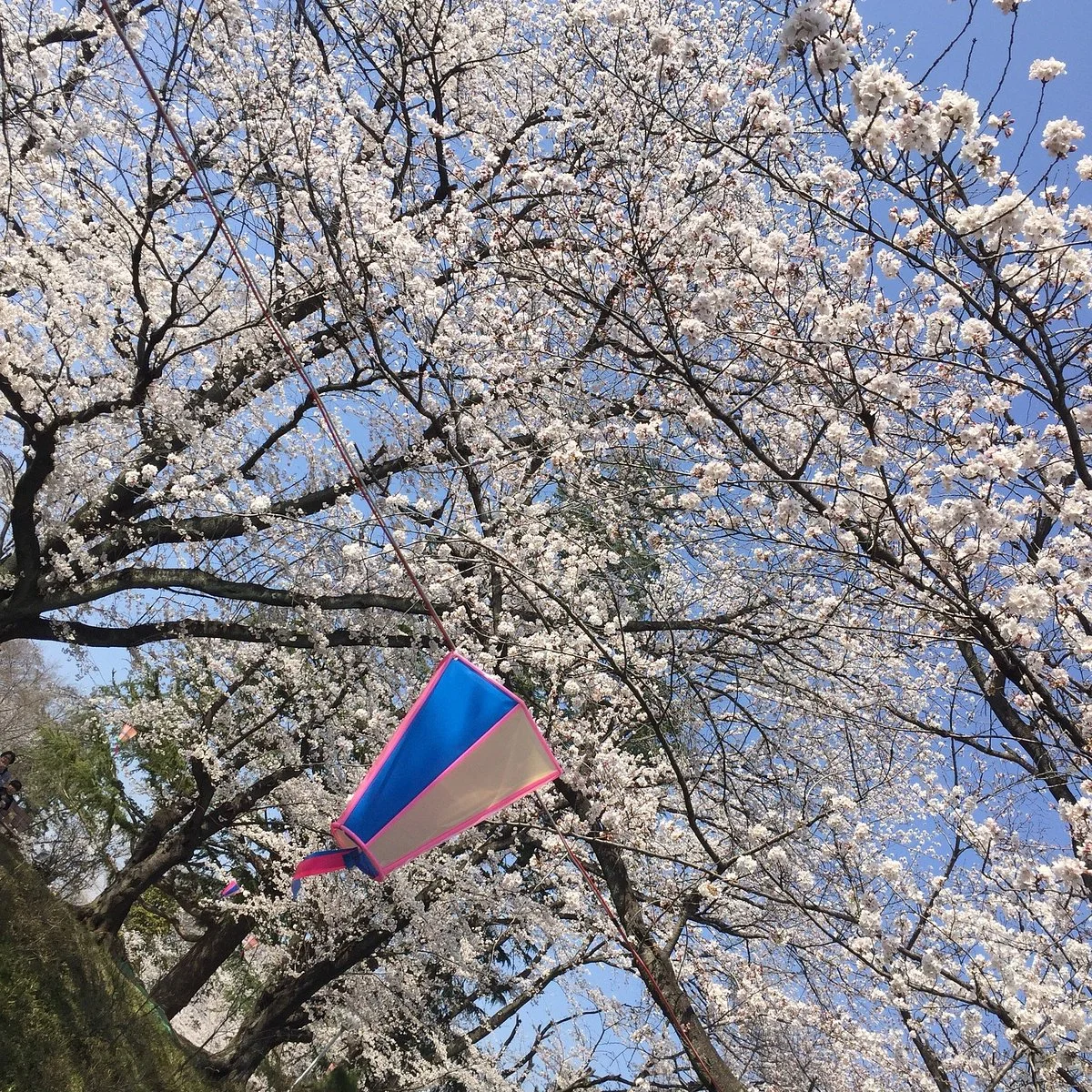 Shironouchi Park