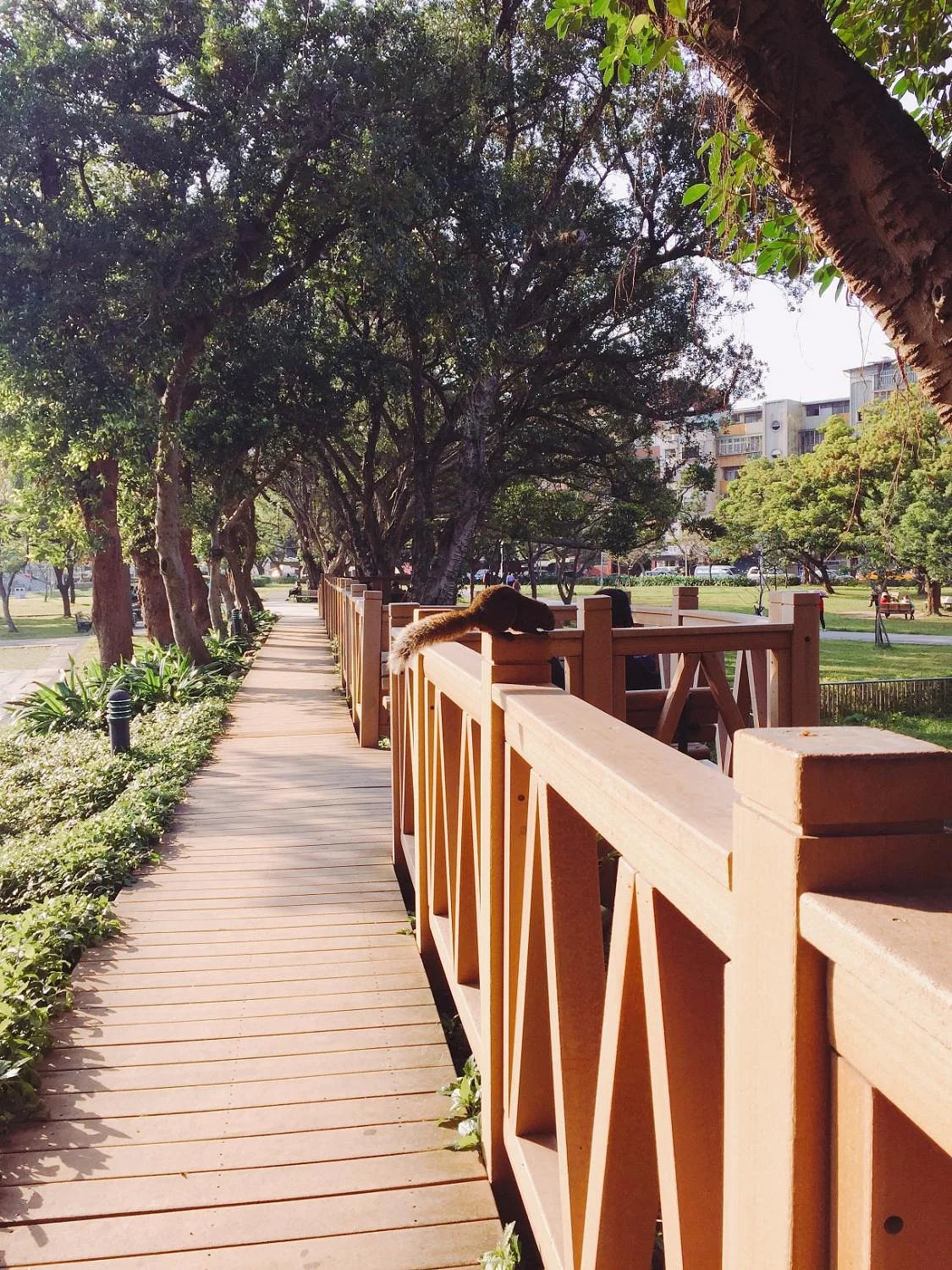 Rongxing Garden Park