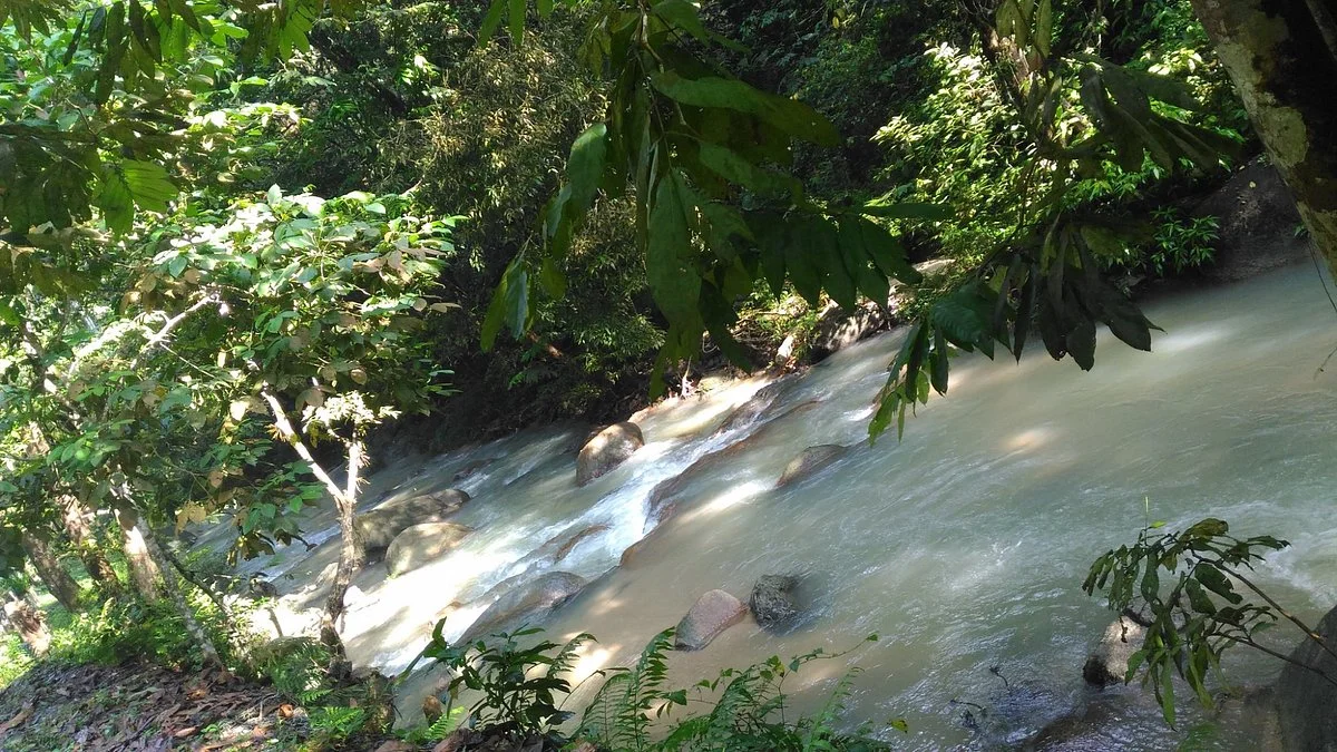 Ampang Recreational Forest