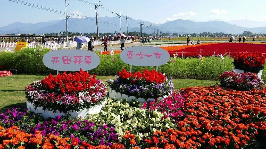 Sea of Flowers in Shinshe