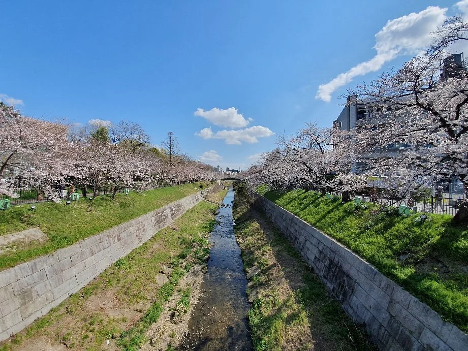 Yamazaki River