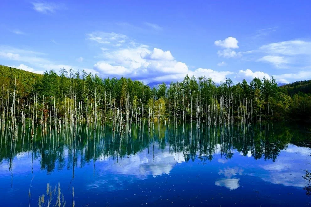 Shirogane Blue Pond