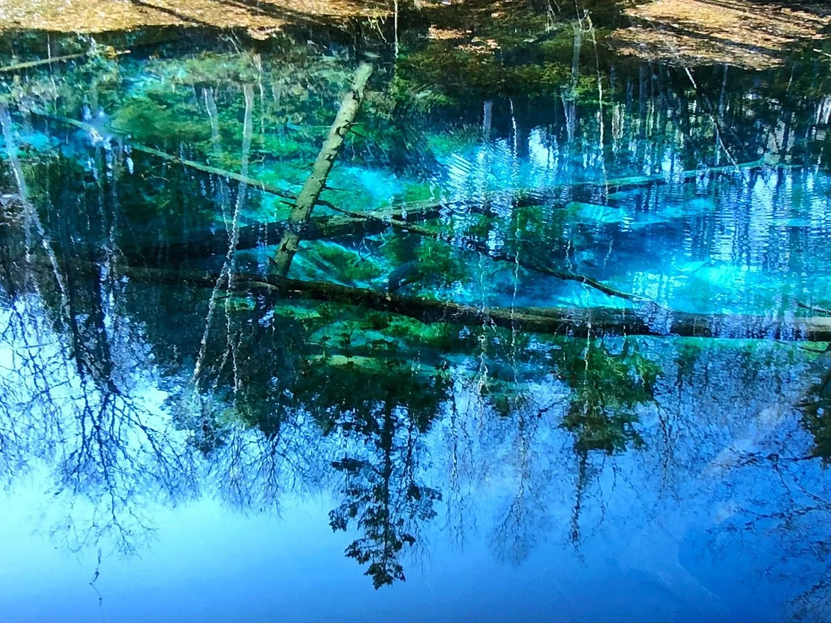 Kaminoko Pond