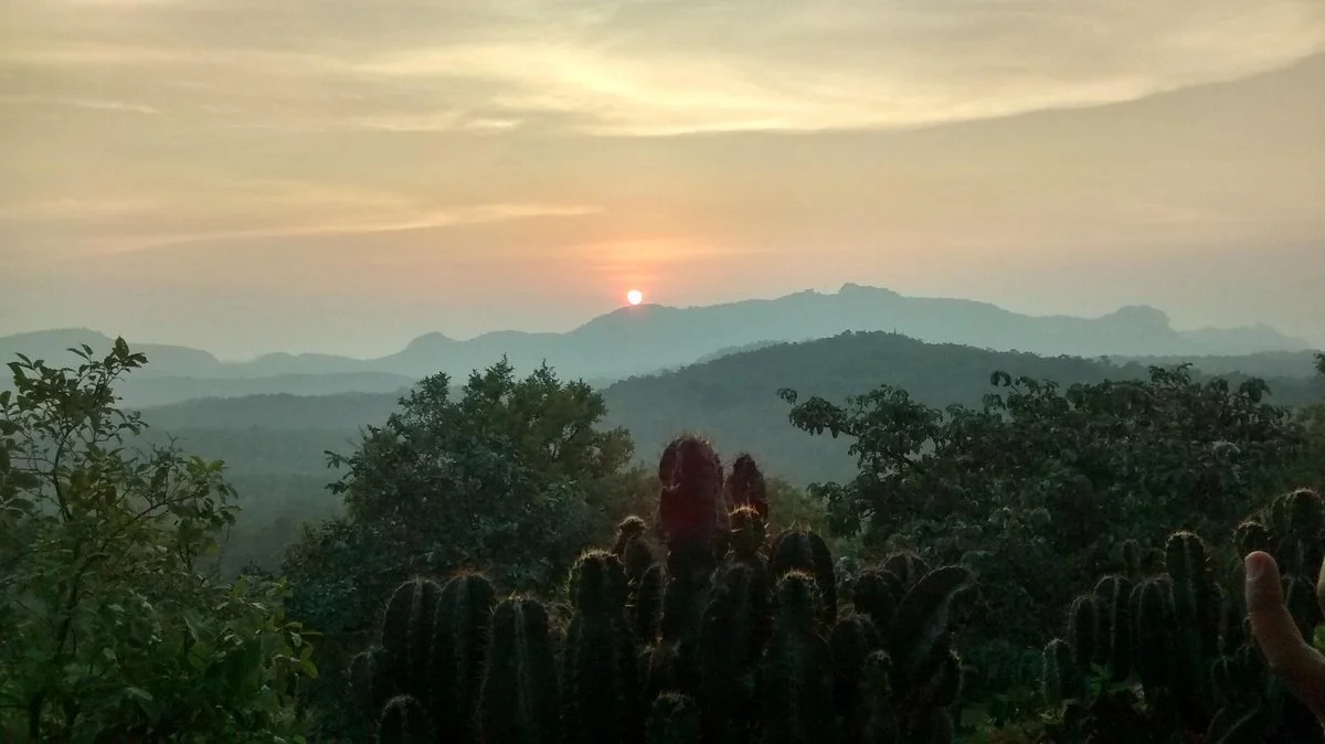 Satpura National Park