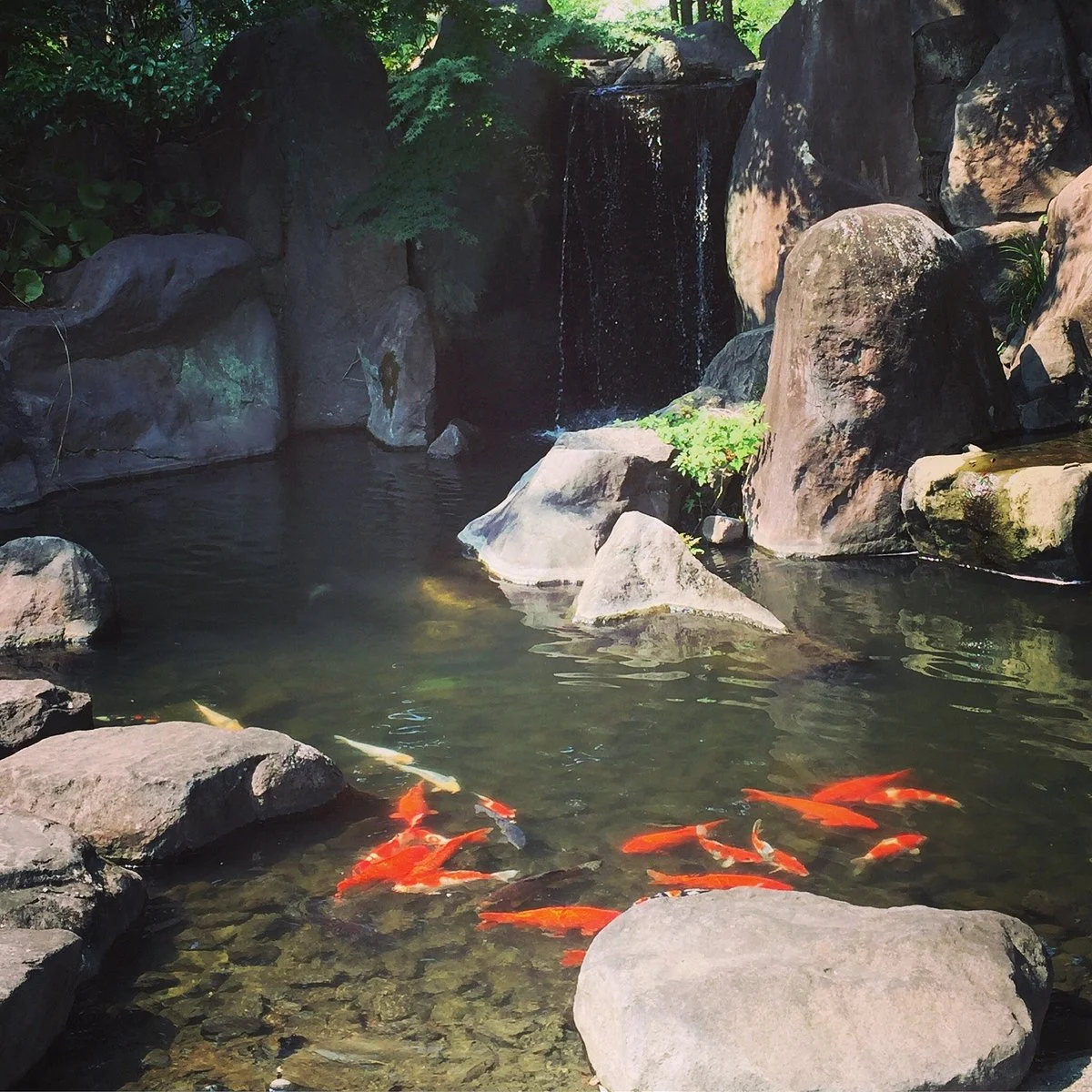 Eco Park Minamata
