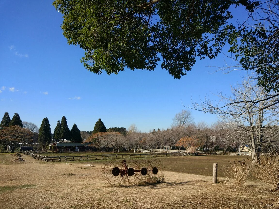 Akimoto Farm