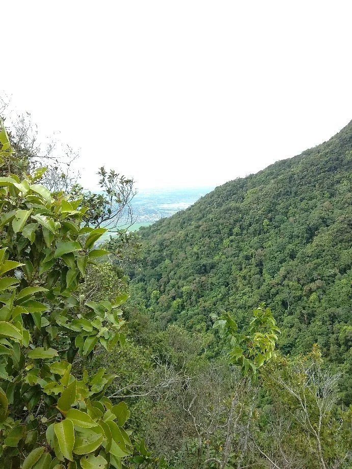 Mount Arayat National Park