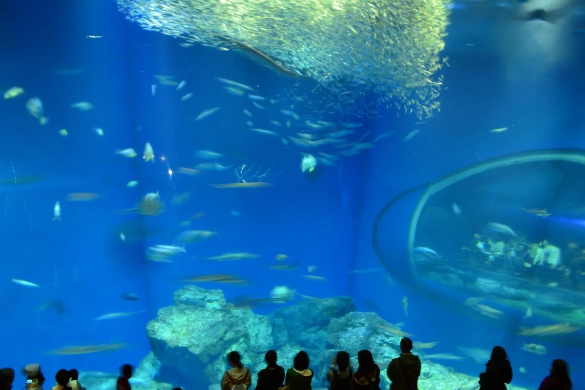Aqua World Ibaraki Prefectural Oarai Aquarium