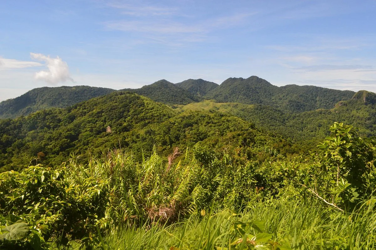 Mt. Manabu