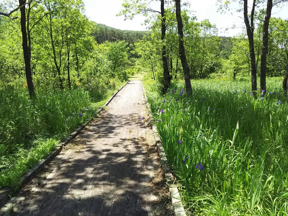 Yawata Wetlands
