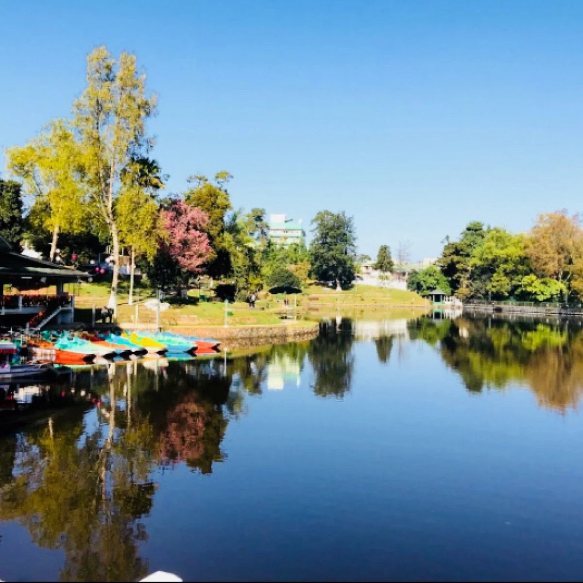 Ward's Lake