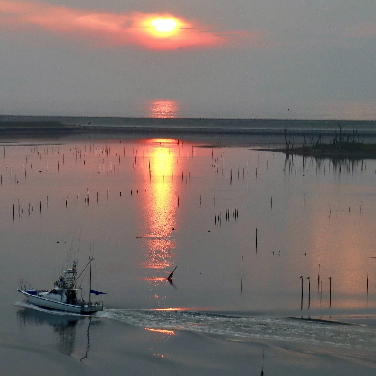 Fukushima Matsukawaura Nature Park