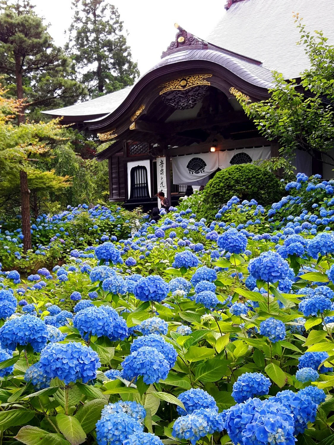 Unsho-ji Temple
