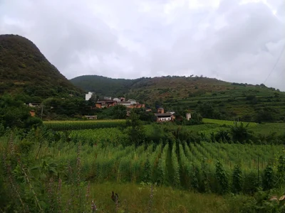 Luquan Yi and Miao Autonomous County - Photo 5