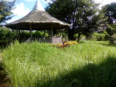 Lipa City - Photo 4