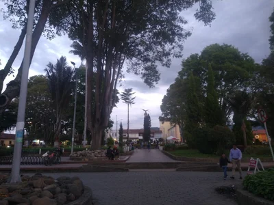 Cajica - Photo 4